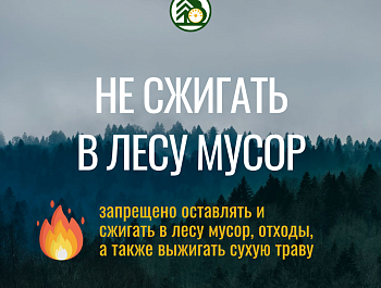 Министерство лесного хозяйства Республики Башкортостан напоминает