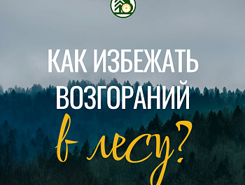Министерство лесного хозяйства Республики Башкортостан напоминает