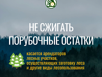 Министерство лесного хозяйства Республики Башкортостан напоминает