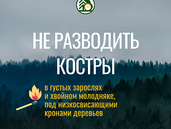 Министерство лесного хозяйства Республики Башкортостан напоминает