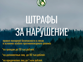 Министерство лесного хозяйства Республики Башкортостан напоминает